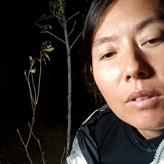5***5完全开放文冠树一颗