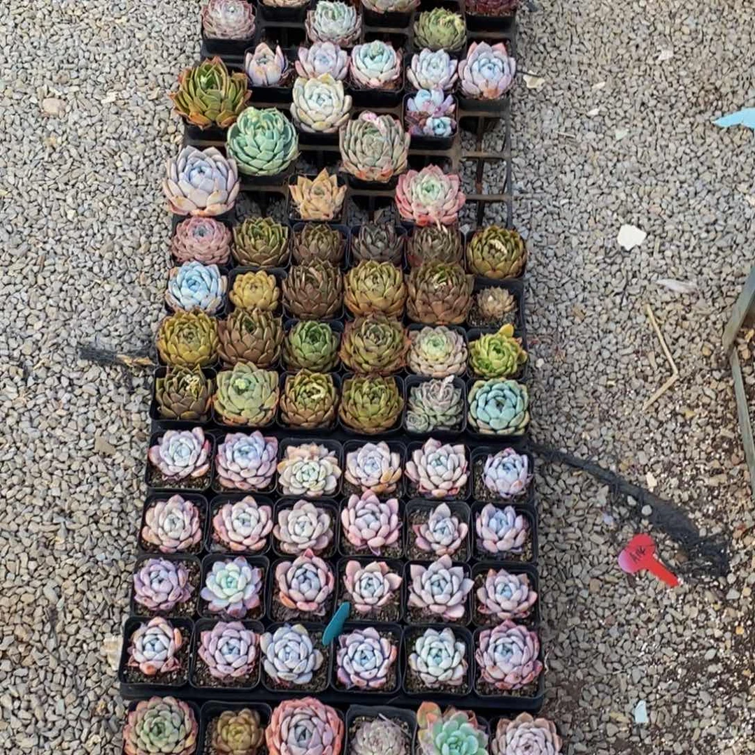 103的人在一起了，我们的人生