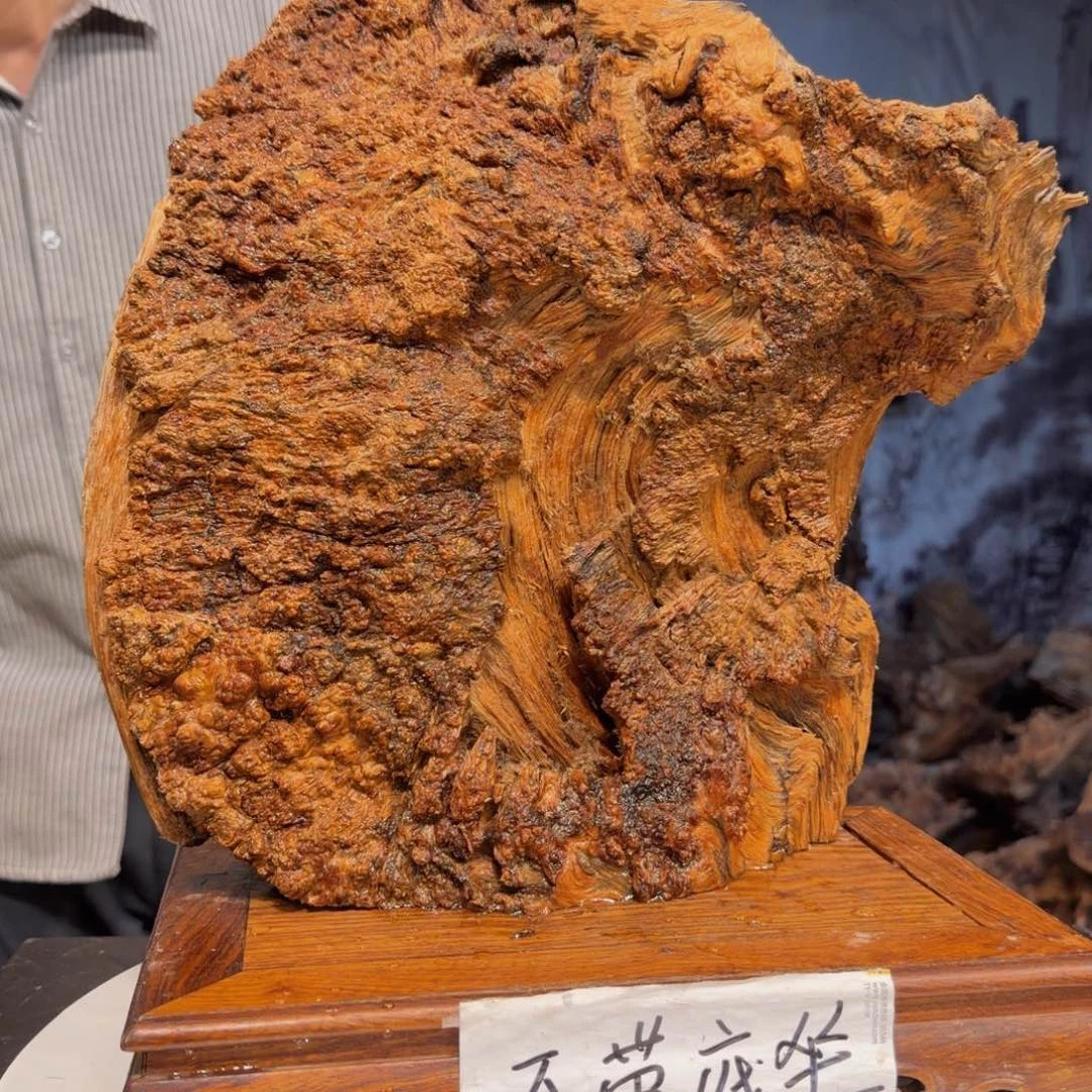 不***气木三丰琥珀木 天然摆件34