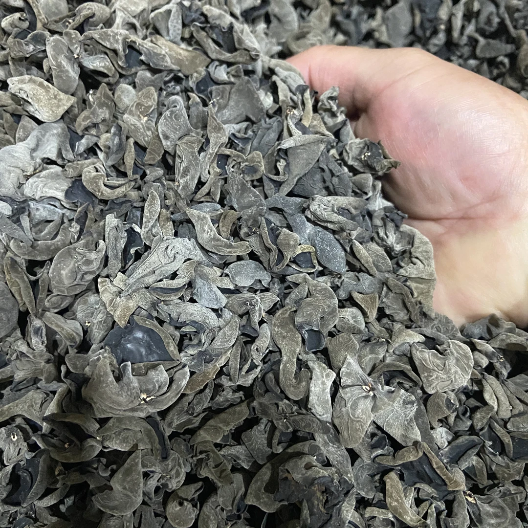 头茬黑木耳干货无根肉厚泡发率高凉拌佳品