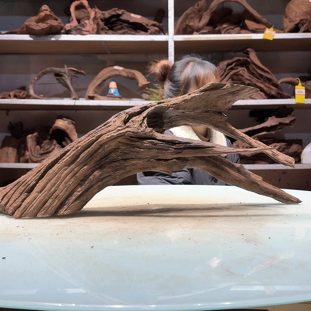 倍褚沉木不包损必褪色张**喜6430