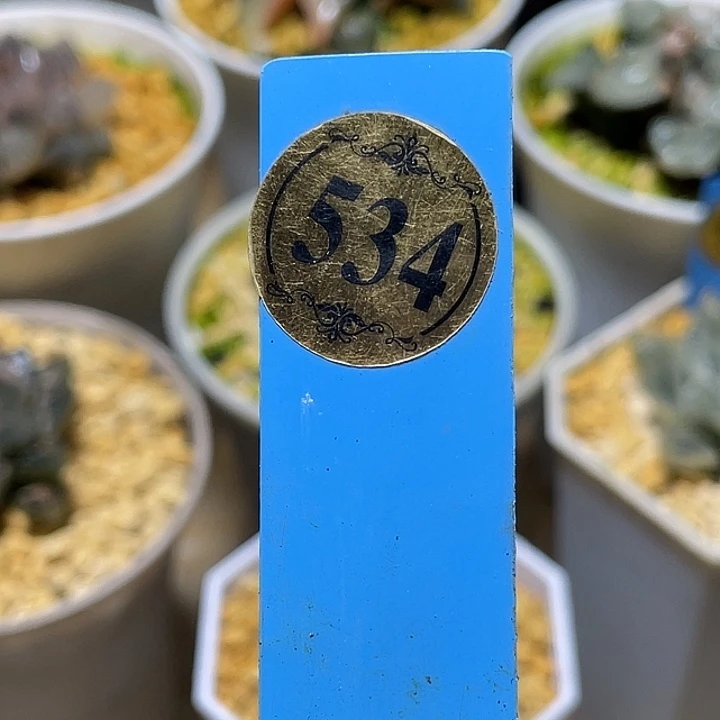 玄***露534先不发玄和专拍福利