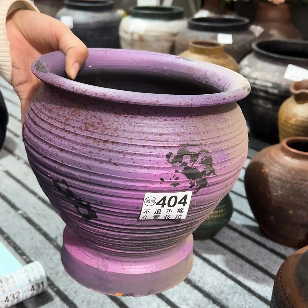 红陶瑕疵紫色鱼尾404