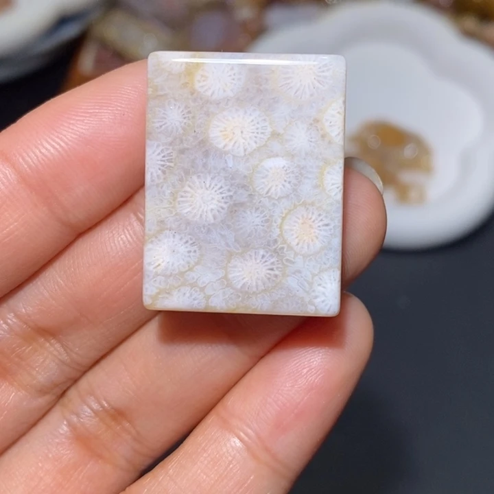 【闪购商品】未镶嵌珊瑚玉硅化玉