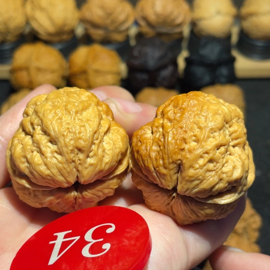 极品聚宝金蟾带彩37。