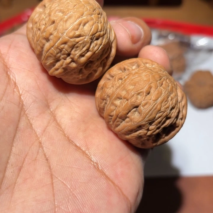 核桃38铁锤妹妹有黄