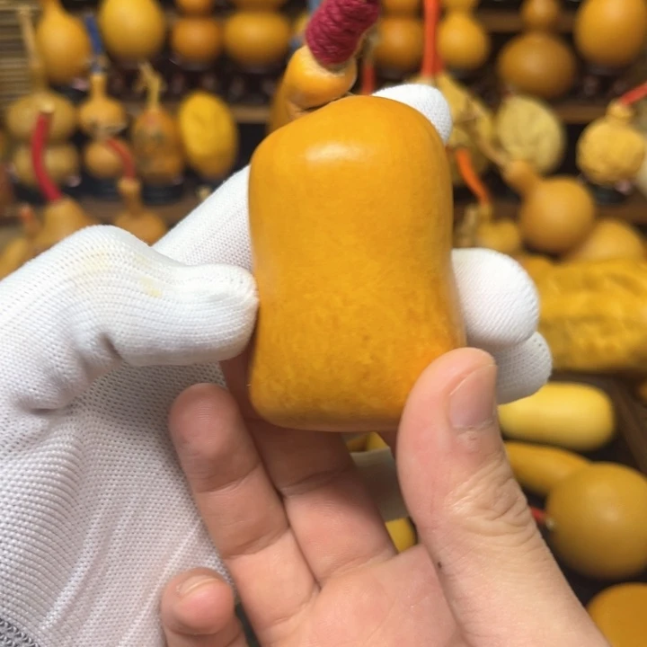 小象布袋厚皮不响籽 11