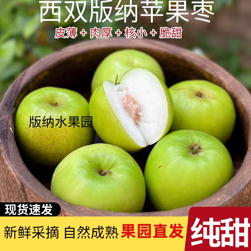 【正宗】西双版纳苹果枣新鲜脆甜爽口纯甜多汁皮薄肉厚核小应季水果