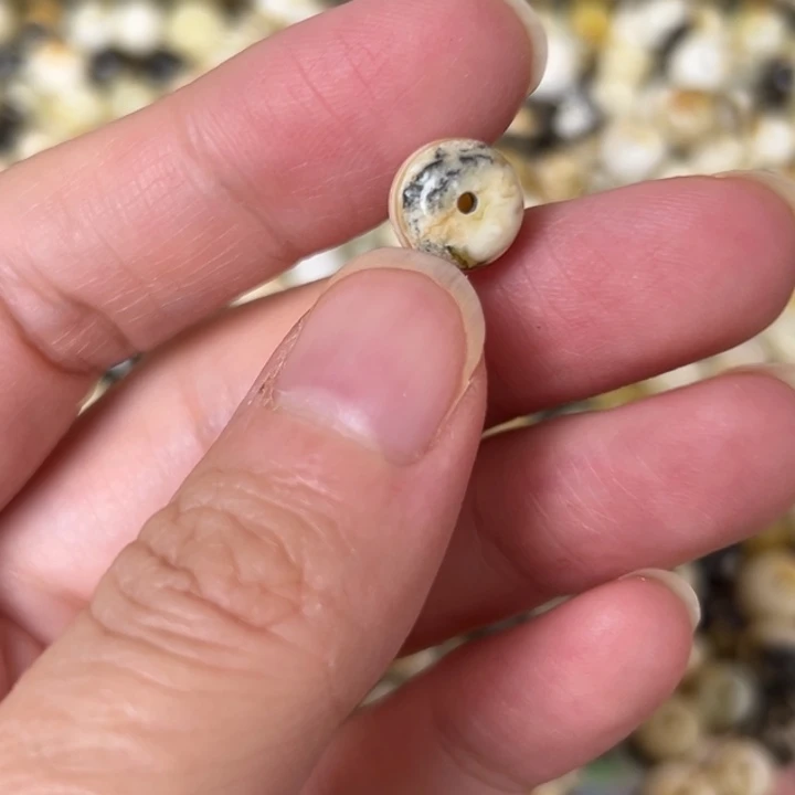 蜜蜡未镶嵌裸石9.4mm一个