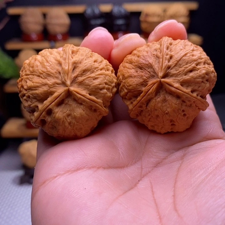 木质类云铁凹江龙三棱61号