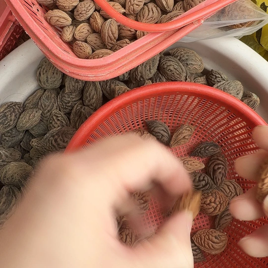精品碧桃核精挑20颗