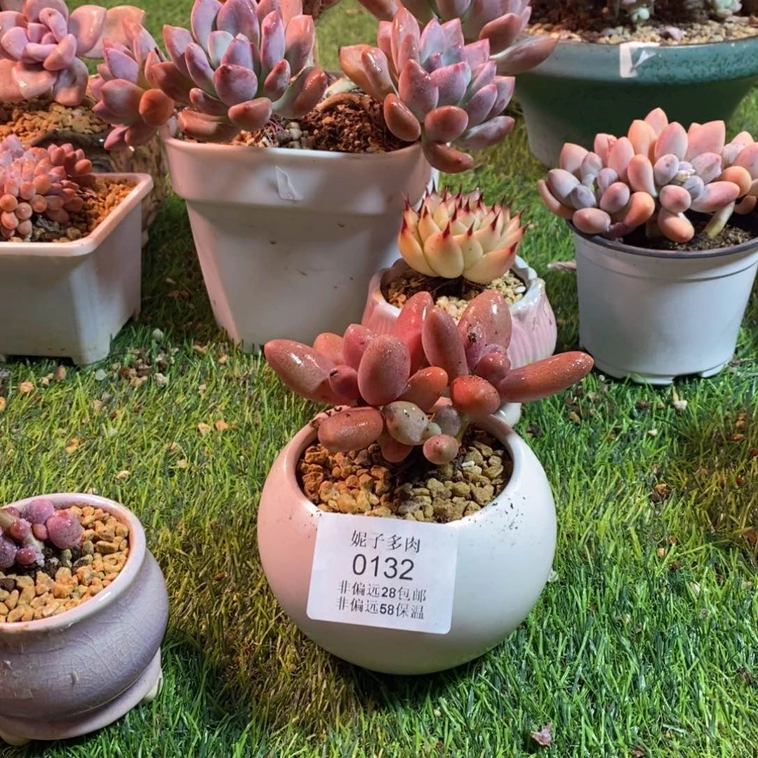 0132寻寻常常的一天