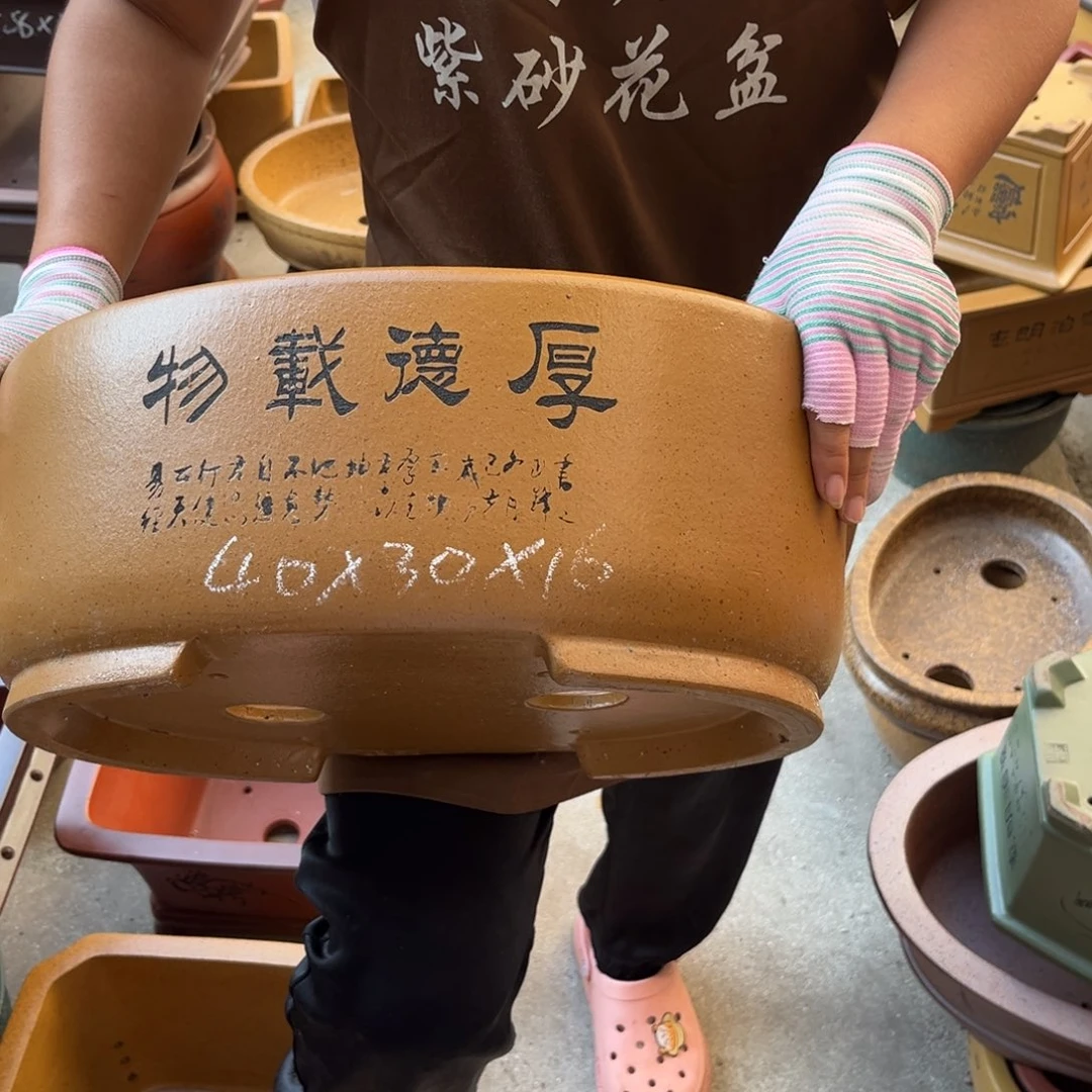 紫砂花盆盆景艺术