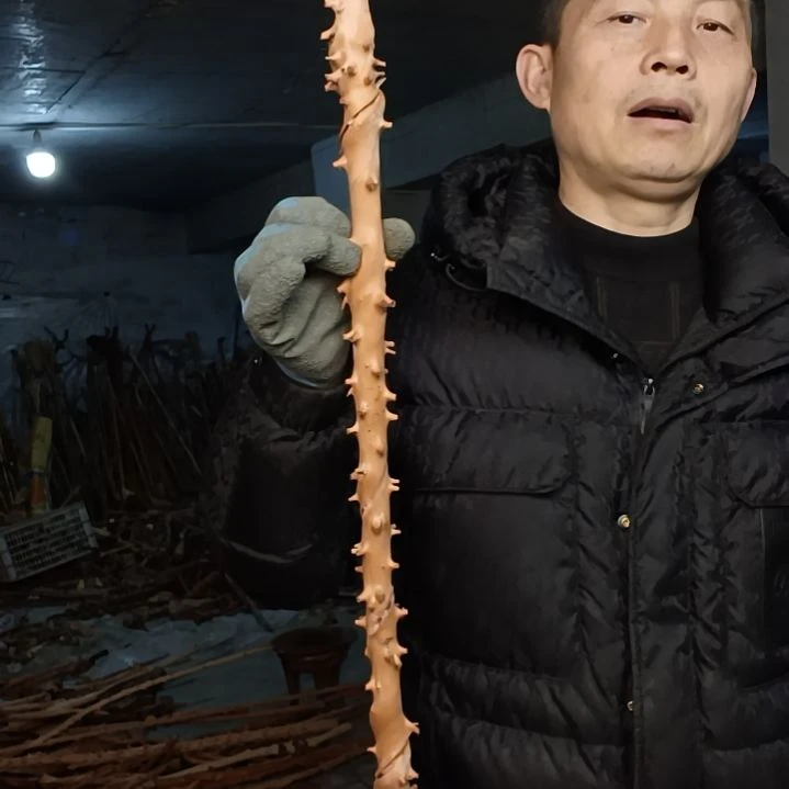 稳定木平***1贵州檬子木   铁马鞭   根艺  半成品