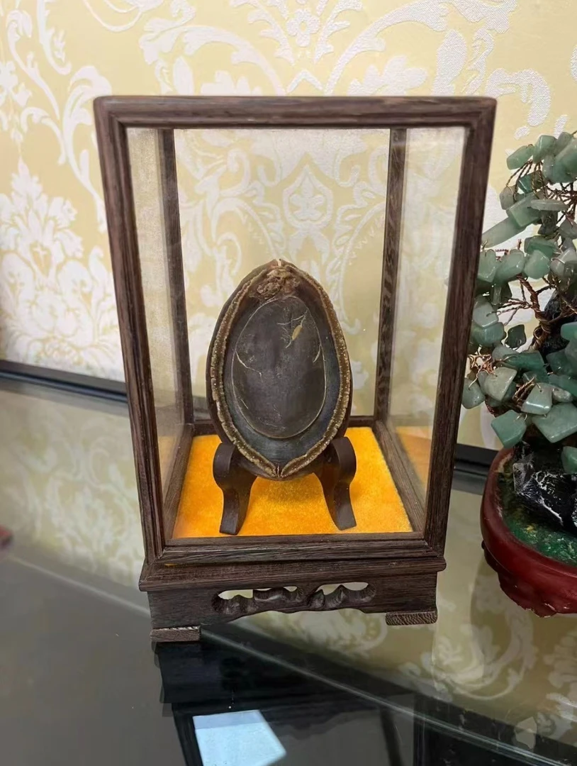 【新领海】鲍鱼花胶综合链接