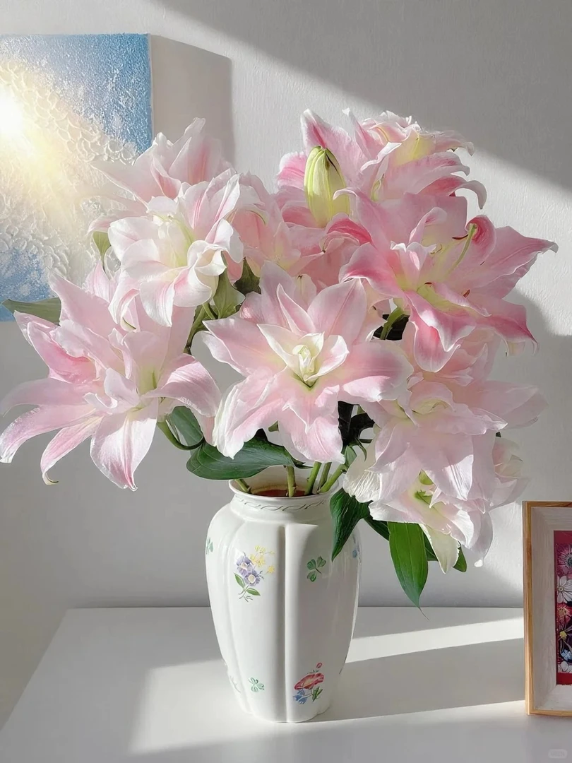 【莲花春天】重瓣香水百合一单包邮云南鲜花昆明基地现采现发