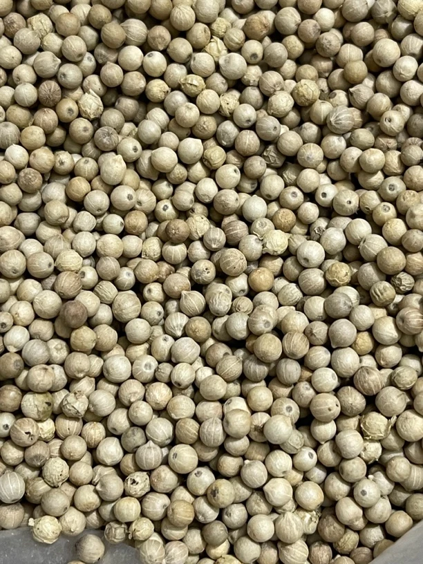 药材哥自卖精品海南胡椒粒