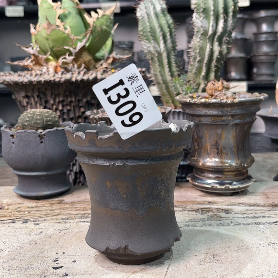 陶内口9高10景德镇