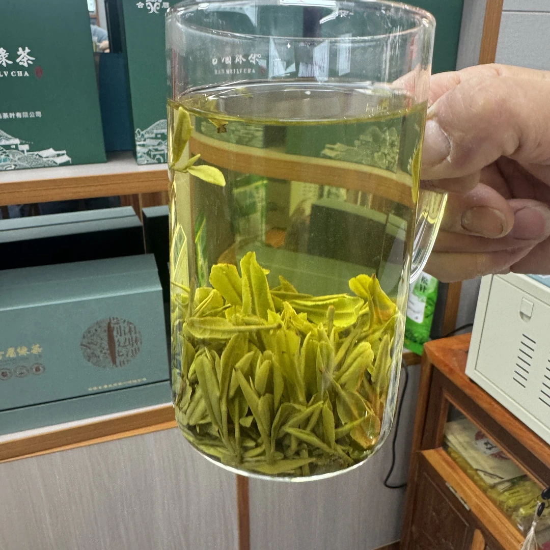 含眉绿茶2025新茶青峰3号