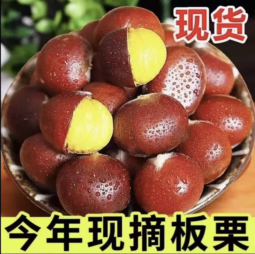 【2025新货】新鲜现摘高山板栗甘甜清脆鲜香生栗子大板栗5斤装