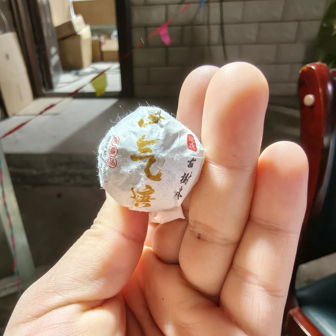 2024年正气塘古树春茶龙珠 1月23【14号】