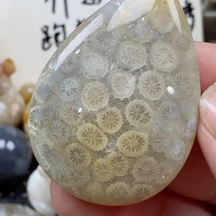 颈饰未镶嵌硅化珊瑚（珊瑚玉）