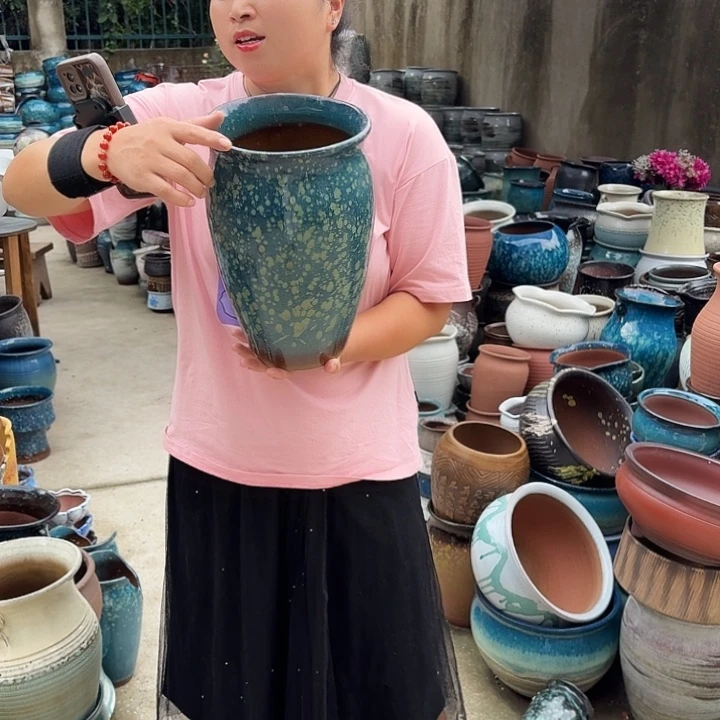 20/29瑕疵的一个盆