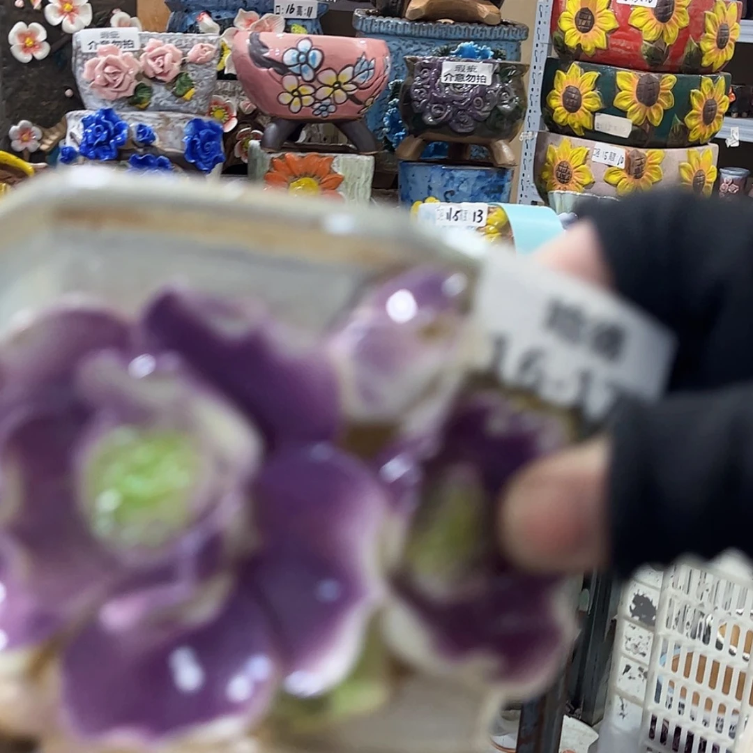 【闪购商品】红陶瑕疵16172