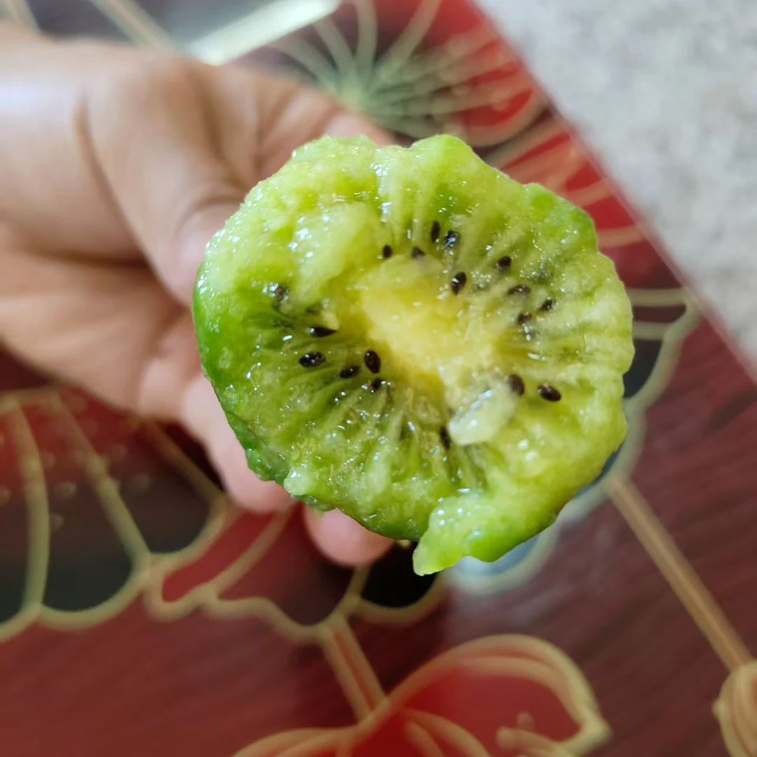 古蔺大村丰水猕猴桃