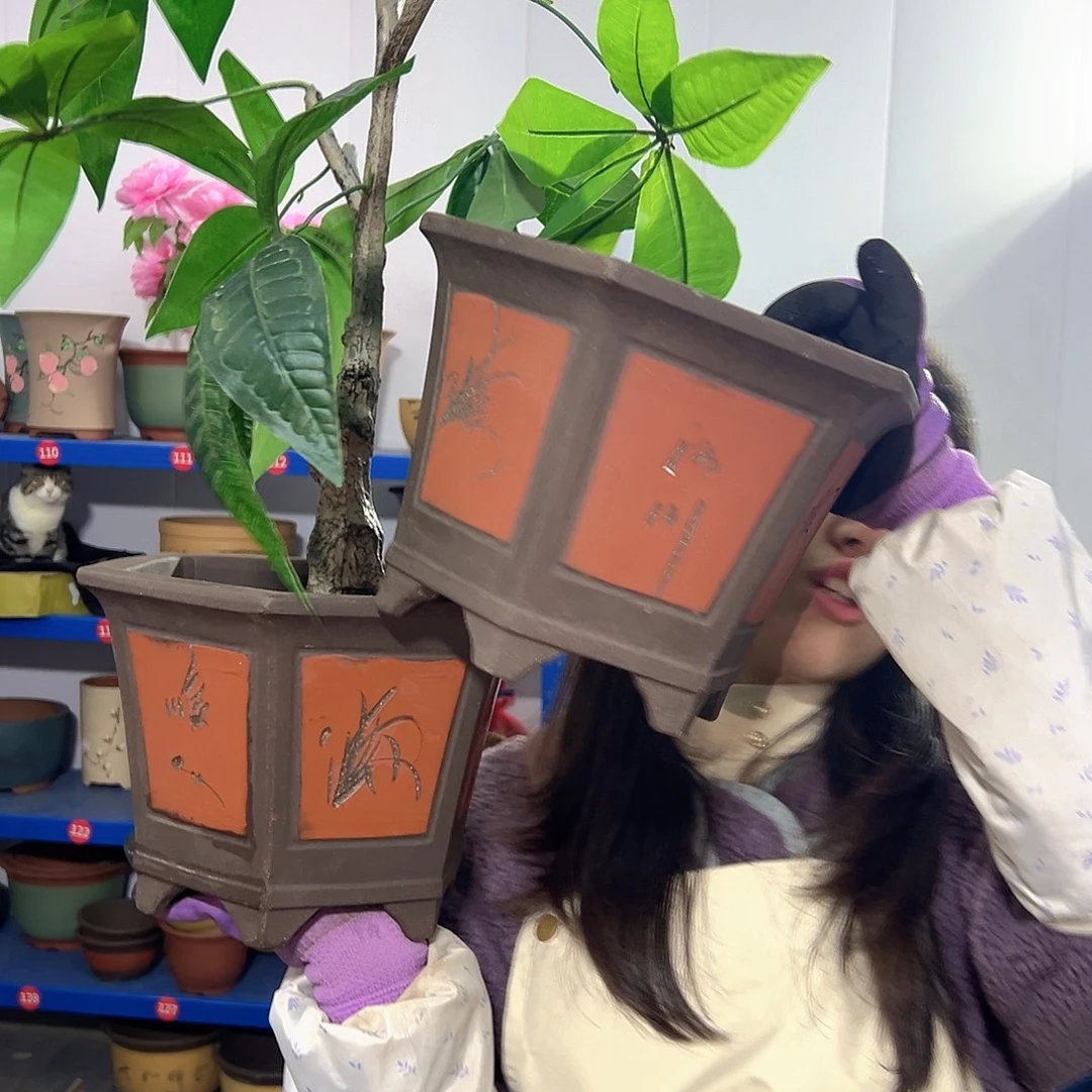 25+25红六方花盆花盆