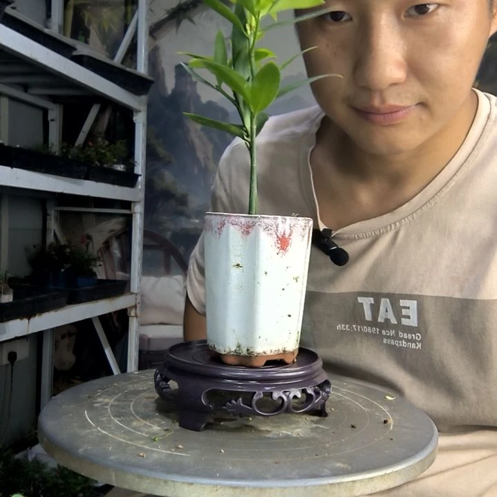 C****?中青园艺一物一拍172