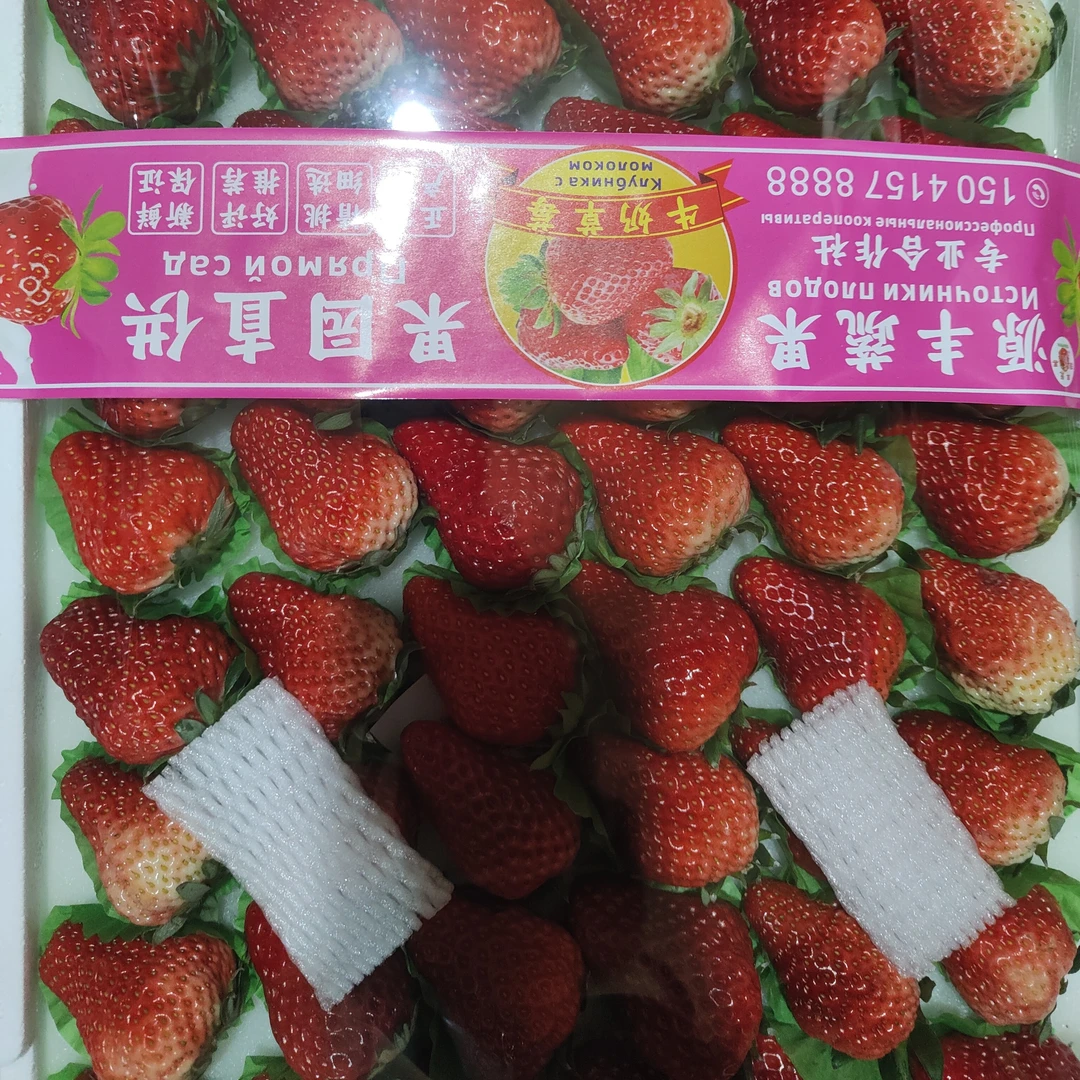 丹东99草莓     69块2300g