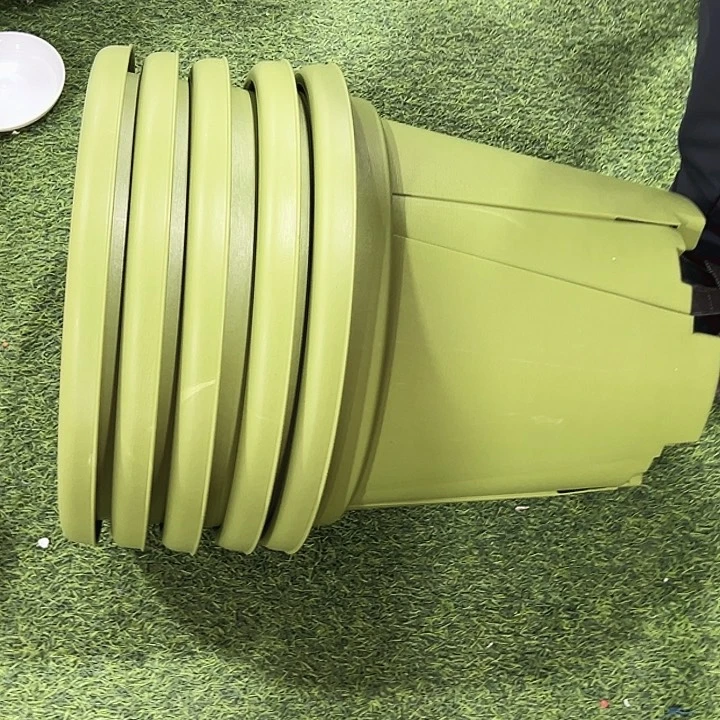 青山口40高34果绿无托5只