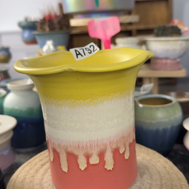 买五送一，当天凑够28口高12