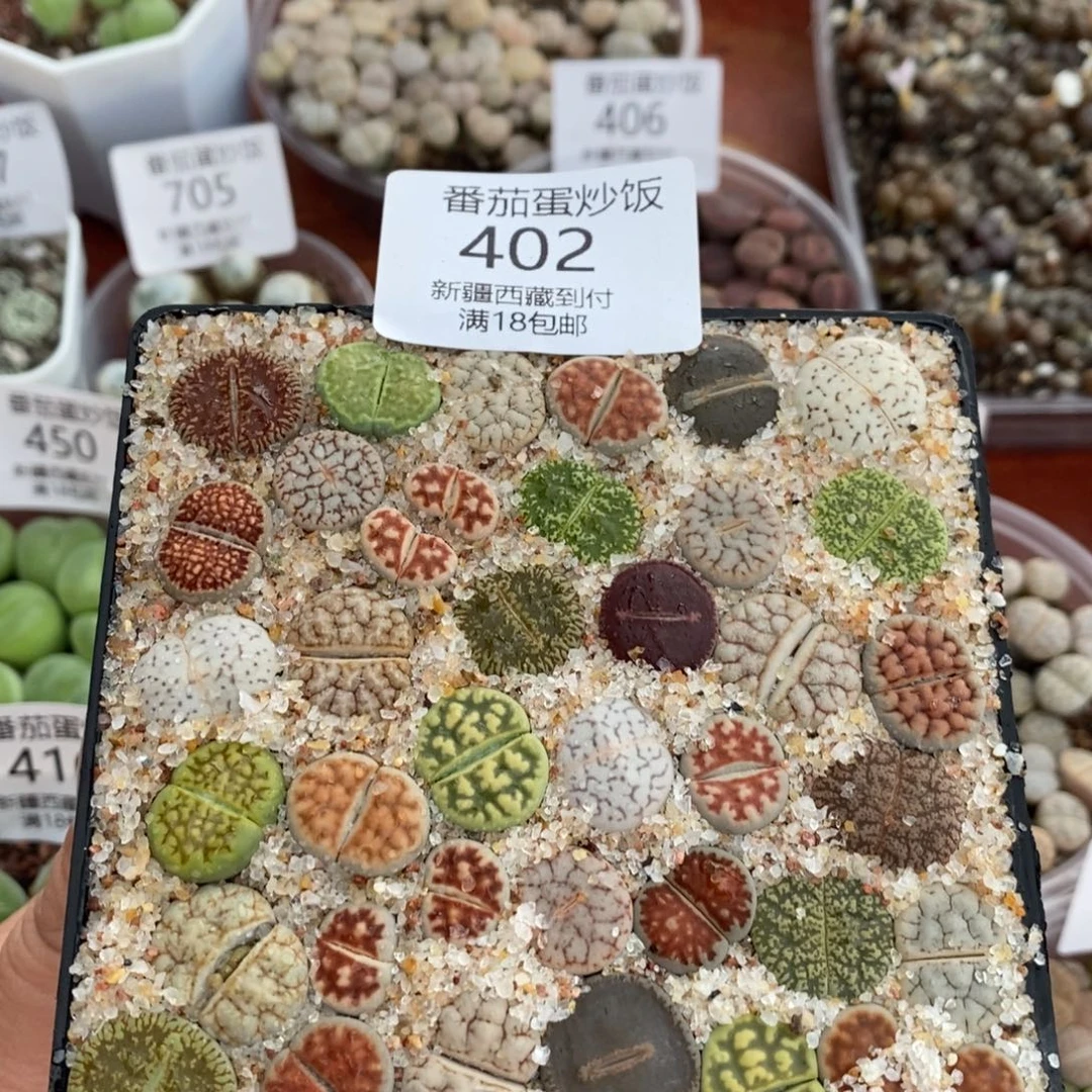 感谢您的支持，00402