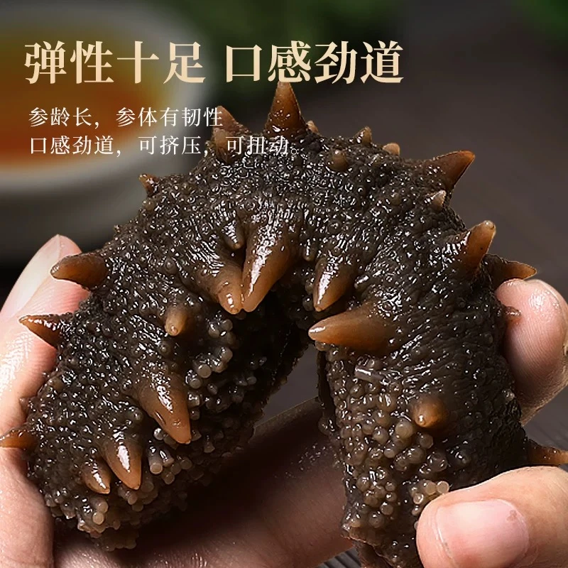 【厂家补贴】9A大连鲜食海参4-6头 纯Q弹口感   500g*3