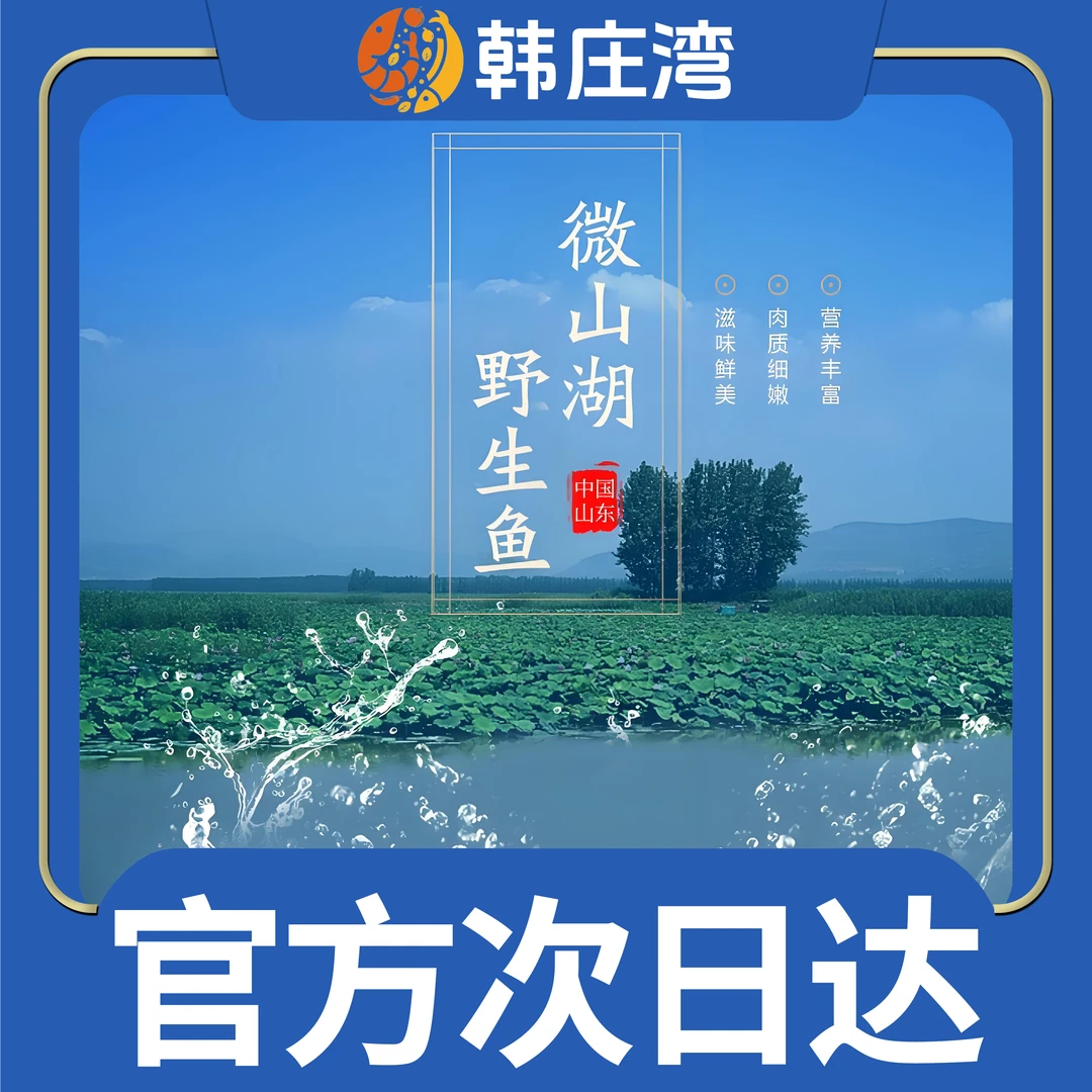 次日达包鲜正宗韩庄湾微山湖野生鲫鱼炸鱼