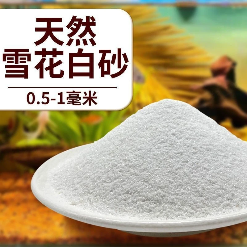 【免冲洗】水族箱精品野采溪流石与南美棕沙及纯白白沙雷龙凤尾鱼缸