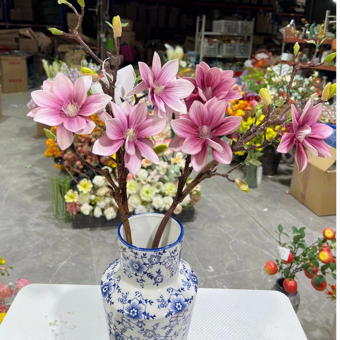 （高档）春雨玉兰花