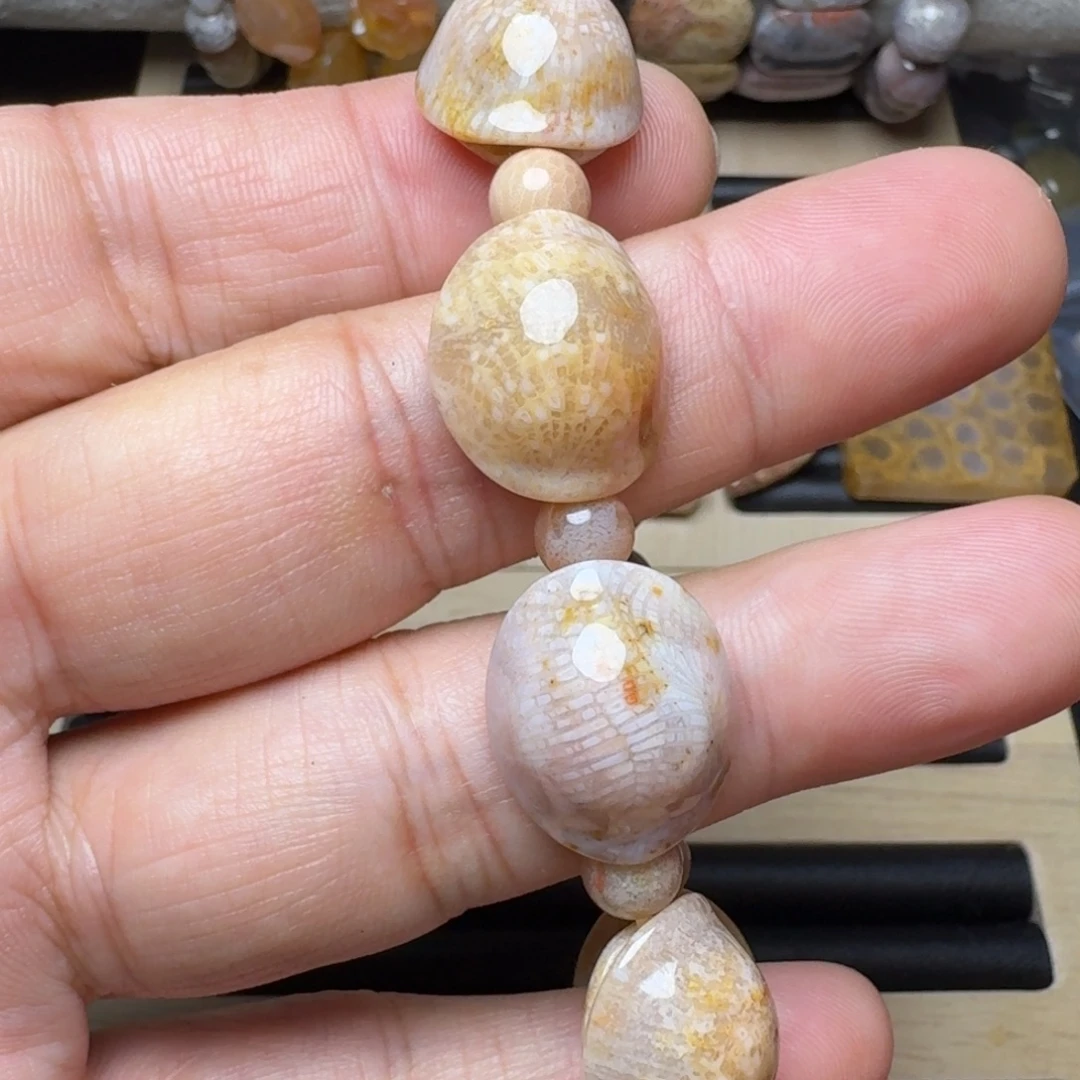 硅化珊瑚（珊瑚玉）未镶嵌纯天然色有机玉石保真色富甲