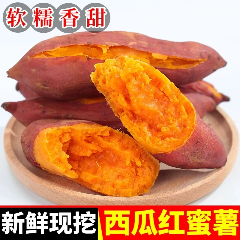 新鲜现挖糖心番薯软糯香甜超好吃的番薯