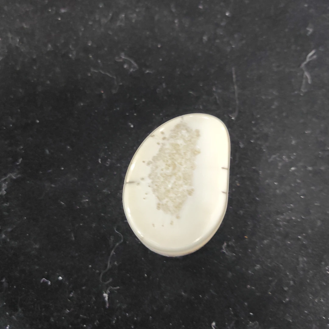 猛犸猛犸虬饼子WT619