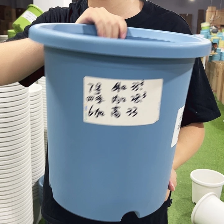 特价7号口33高33白色10只无托