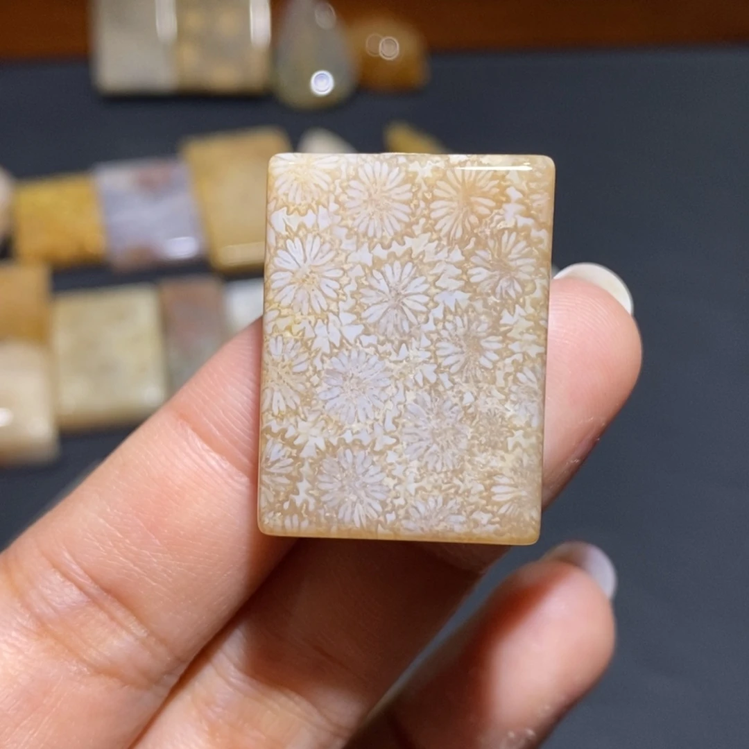 【闪购商品】未镶嵌珊瑚玉硅化玉