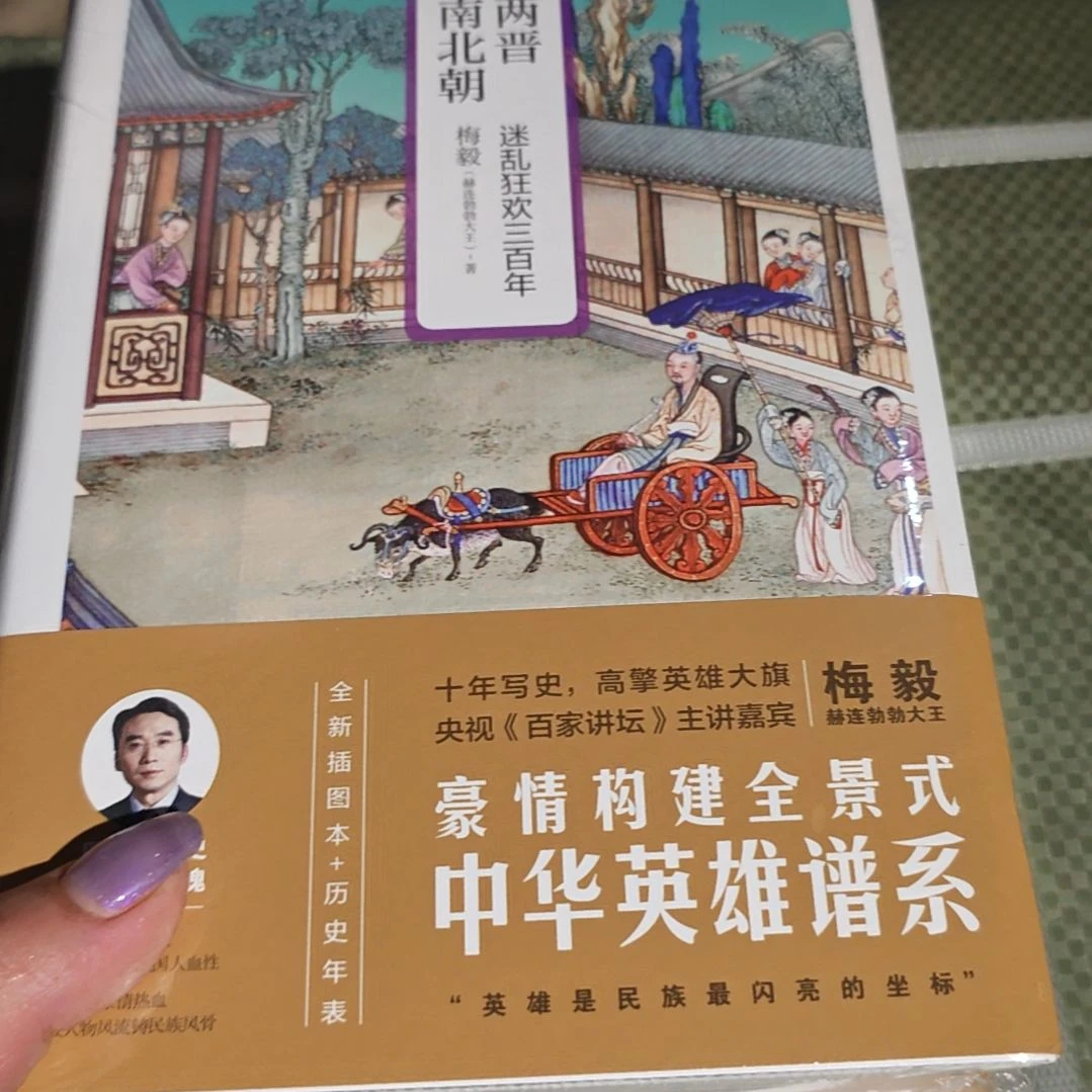 两晋南北朝精装塑封全新梅毅