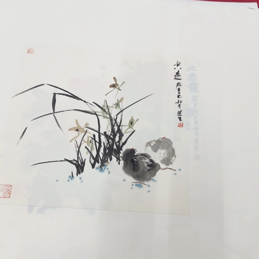 国画花鸟等多种鸟类的栖息地