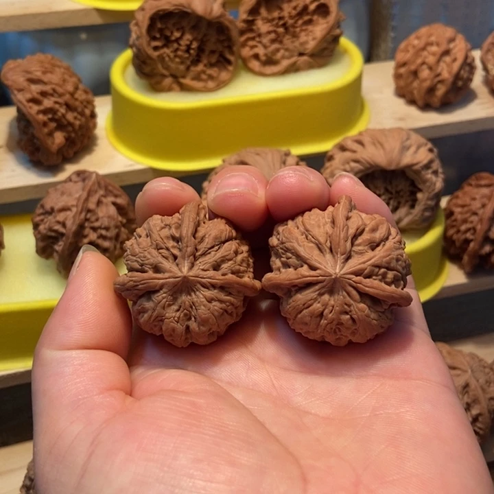 官方网站发布消息