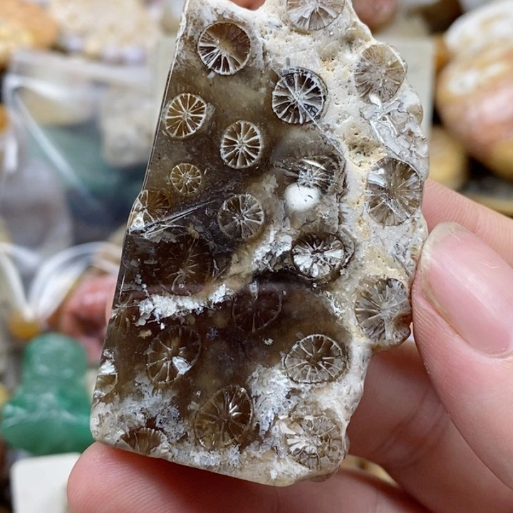 石英质玉未镶嵌颈饰