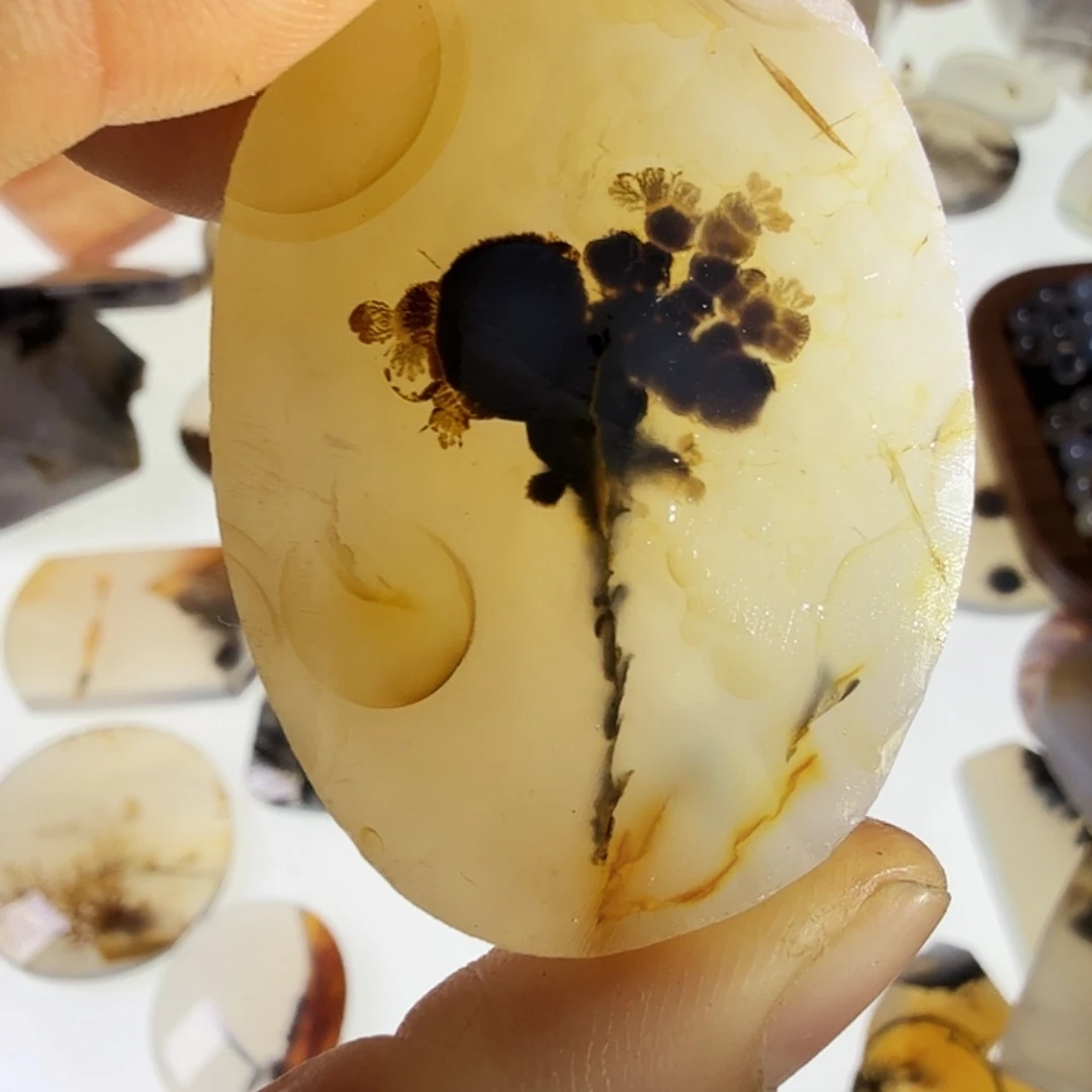 星***耀玛瑙/玉髓未镶嵌珠宝半成品