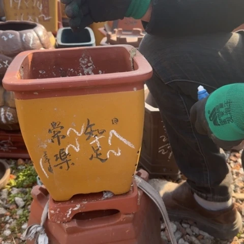 红陶紫砂花盆盆景盆栽